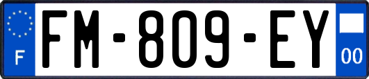 FM-809-EY