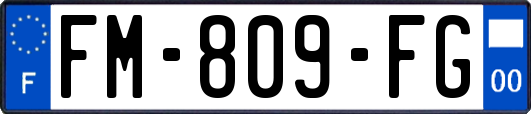 FM-809-FG