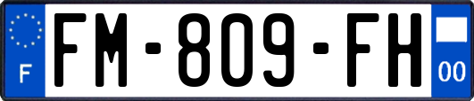 FM-809-FH