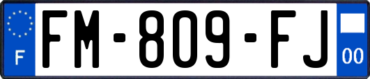 FM-809-FJ