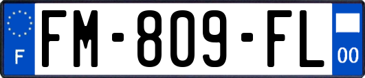 FM-809-FL
