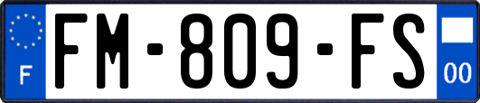 FM-809-FS