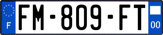 FM-809-FT