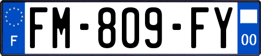 FM-809-FY