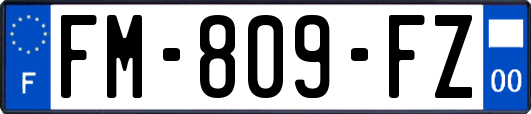 FM-809-FZ