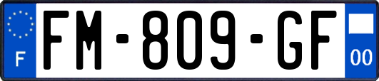 FM-809-GF