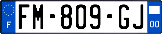 FM-809-GJ