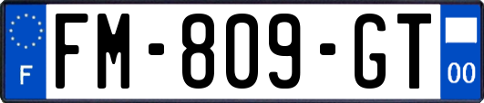 FM-809-GT