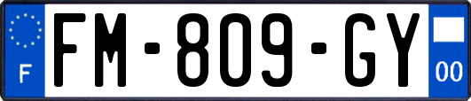 FM-809-GY