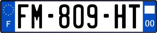 FM-809-HT