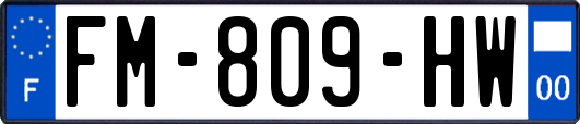 FM-809-HW