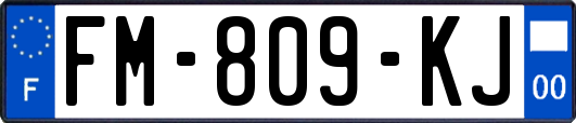 FM-809-KJ