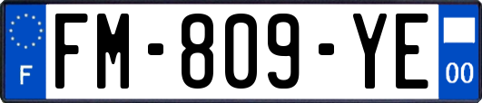 FM-809-YE