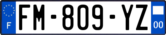FM-809-YZ