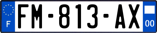 FM-813-AX