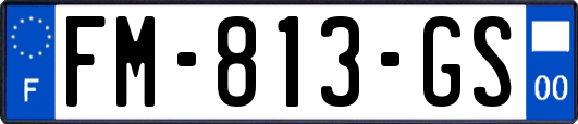 FM-813-GS