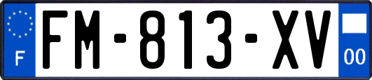 FM-813-XV