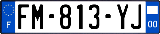 FM-813-YJ