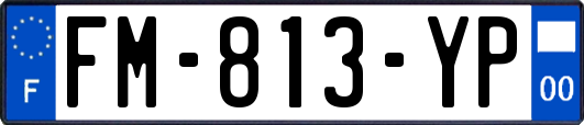 FM-813-YP