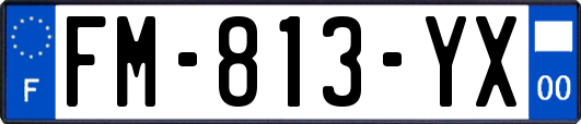FM-813-YX