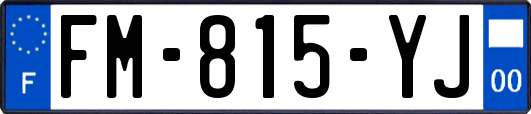 FM-815-YJ
