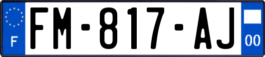 FM-817-AJ