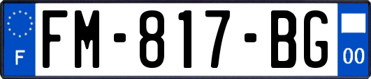 FM-817-BG