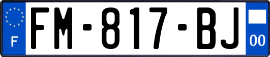 FM-817-BJ