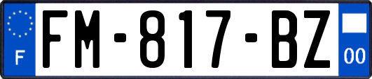 FM-817-BZ