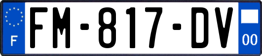 FM-817-DV