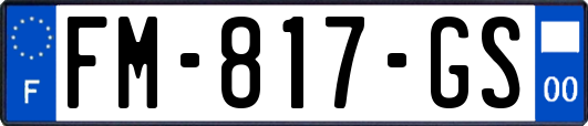 FM-817-GS