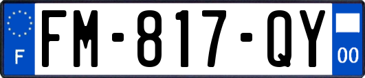 FM-817-QY