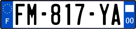 FM-817-YA