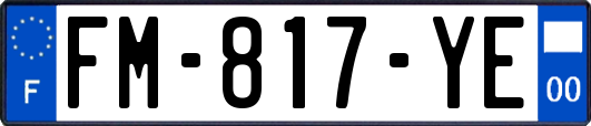 FM-817-YE
