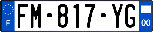 FM-817-YG