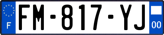 FM-817-YJ