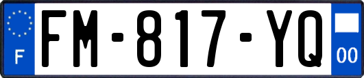 FM-817-YQ