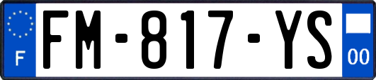 FM-817-YS