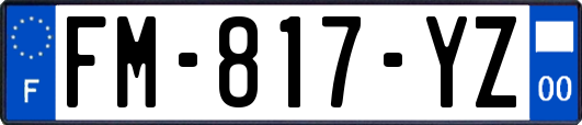 FM-817-YZ