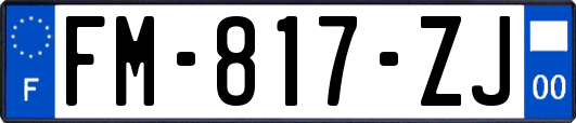FM-817-ZJ