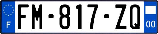 FM-817-ZQ