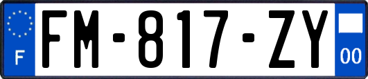 FM-817-ZY