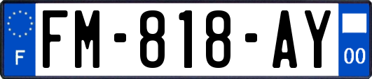 FM-818-AY