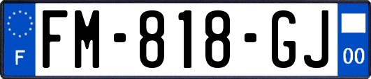 FM-818-GJ
