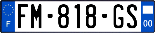 FM-818-GS