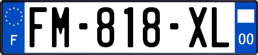FM-818-XL