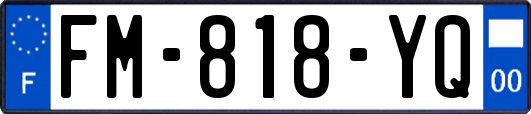 FM-818-YQ