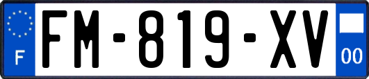 FM-819-XV