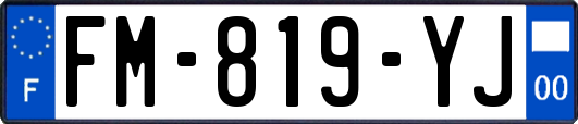 FM-819-YJ