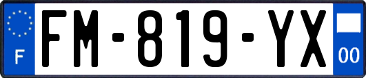 FM-819-YX
